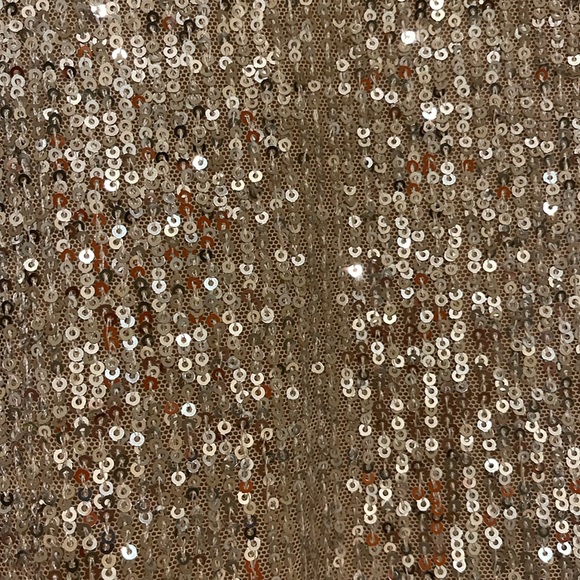 Heartloom, large, V-neck, short, sleeved, champagne, sequin blouse - Picture 3 of 4